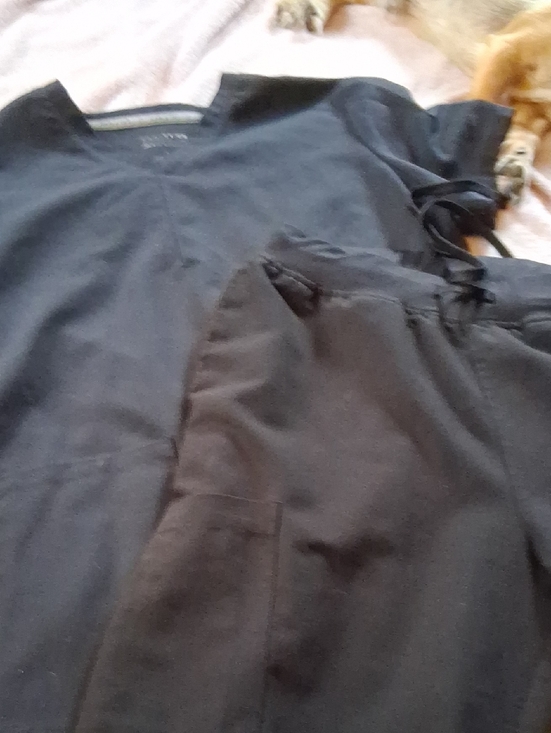 Fabletics Other - Classic Black Scrub Set - Solid Black Top & Pants Top Is Very Dark Blue